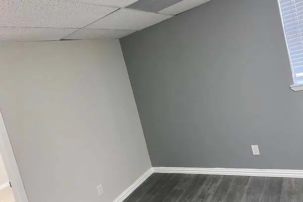 Painting Service